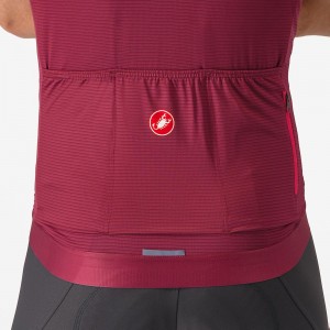 Abbigliamento Uomo Maglia Trofeo Giro d'Italia 2024-Bordeaux