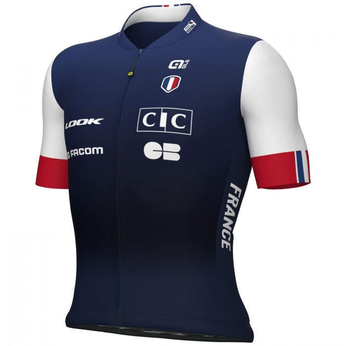 Maglia della Nazionale Francese Ale Maschile 2024