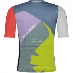 Maglia Ale VF Group-Bardiani CSF-Faizane 2024 da uomo