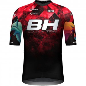 Abbigliamento uomo Maglia a maniche lunghe Team DSM Firmenich Postnl 2024