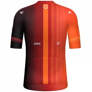 Maglia Gobik FDJ Suez 2024 da uomo