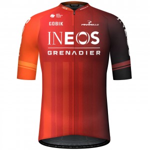 Maglia Gobik FDJ Suez 2024 da uomo