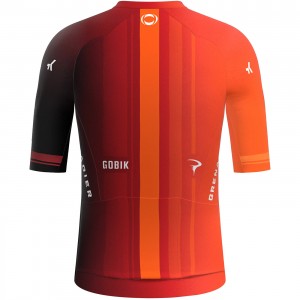 Abbigliamento uomo Maglia Gobik Ineos Grenadiers 2024 Reactive