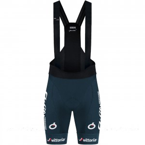 Abbigliamento uomo Pantaloncini con bretelle Gobik Wilier Vittoria 2024 Absolute 6.0 K10