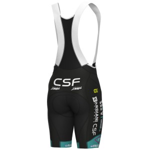 Abbigliamento uomo pantaloncini con bretelle Ale VF Group-Bardiani CSF-Faizane 2024 PRS