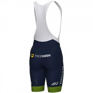 Abbigliamento uomo Nazionale slovena Pantaloncini corti Ale 2024