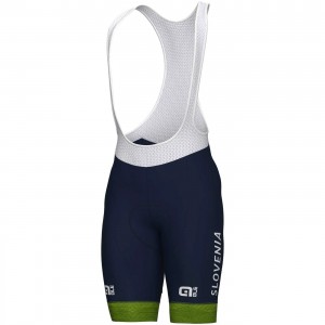 Abbigliamento uomo Nazionale slovena Pantaloncini corti Ale 2024