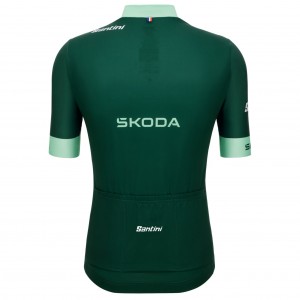 Maglia Santini Green Tour de France 2025 Fan Line da uomo