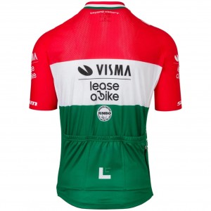 Abbigliamento Uomo Maglia Team Visma Lease a Bike 2025-Campione Ungherese