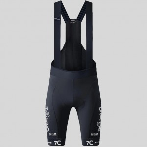 Abbigliamento uomo Calzamaglia con bretelle Gobik Team FOL MTB 2025 Absolute K10