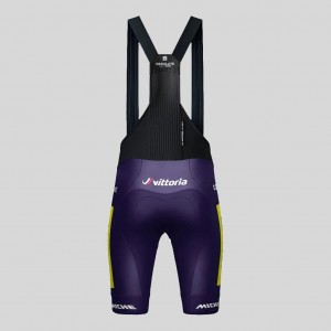 Salopette Gobik Wilier Vittoria 2025 Absolute Print K10 da uomo Calzamaglia