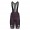 Abbigliamento uomo Pantaloncini con bretelle Team Lapierre 2025 Santini-Bordeaux