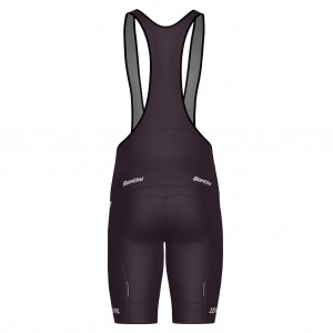 Abbigliamento uomo Pantaloncini con bretelle Team Lapierre 2025 Santini-Bordeaux