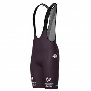 Abbigliamento uomo Pantaloncini con bretelle Team Lapierre 2025 Santini-Bordeaux