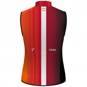 Abbigliamento uomo Gilet Gobik Ineos Grenadiers 2025 Plus 2.0