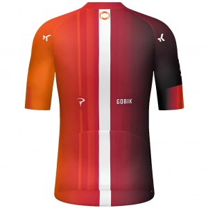 Abbigliamento uomo Maglia Gobik Ineos Grenadiers 2025 Odyssey