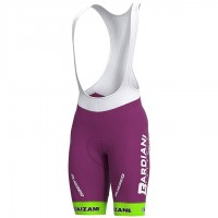 Completo Ciclismo 2020 BARDIANI CSF Squadre Salopette Ciclismo Completo Ciclismo 2020 BARDIANI CSF Squadre Salopette Ciclismo