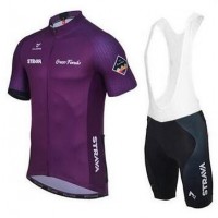 2016 Strava pourpre Nuovo abbigliamento Ciclismo Completo Maglia Ciclismo Corta e Salopette 36262-FG 2016 Strava pourpre Nuovo abbigliamento Ciclismo Completo Maglia Ciclismo Corta e Salopette 36262-FG