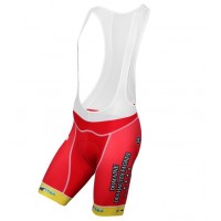 2016 WALLONIE BRUXELLES-GROUP PROTECT Salopette Ciclismo 92878-RD 2016 WALLONIE BRUXELLES-GROUP PROTECT Salopette Ciclismo 92878-RD
