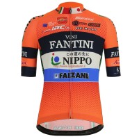 Completo Ciclismo 2019 Vini Fantini Nippo Maglia Ciclismo Manica Corta Completo Ciclismo 2019 Vini Fantini Nippo Maglia Ciclismo Manica Corta